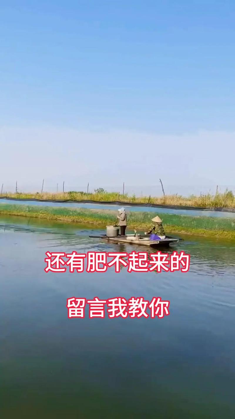 肥水小口訣,水產(chǎn)養(yǎng)殖輕松搞定.